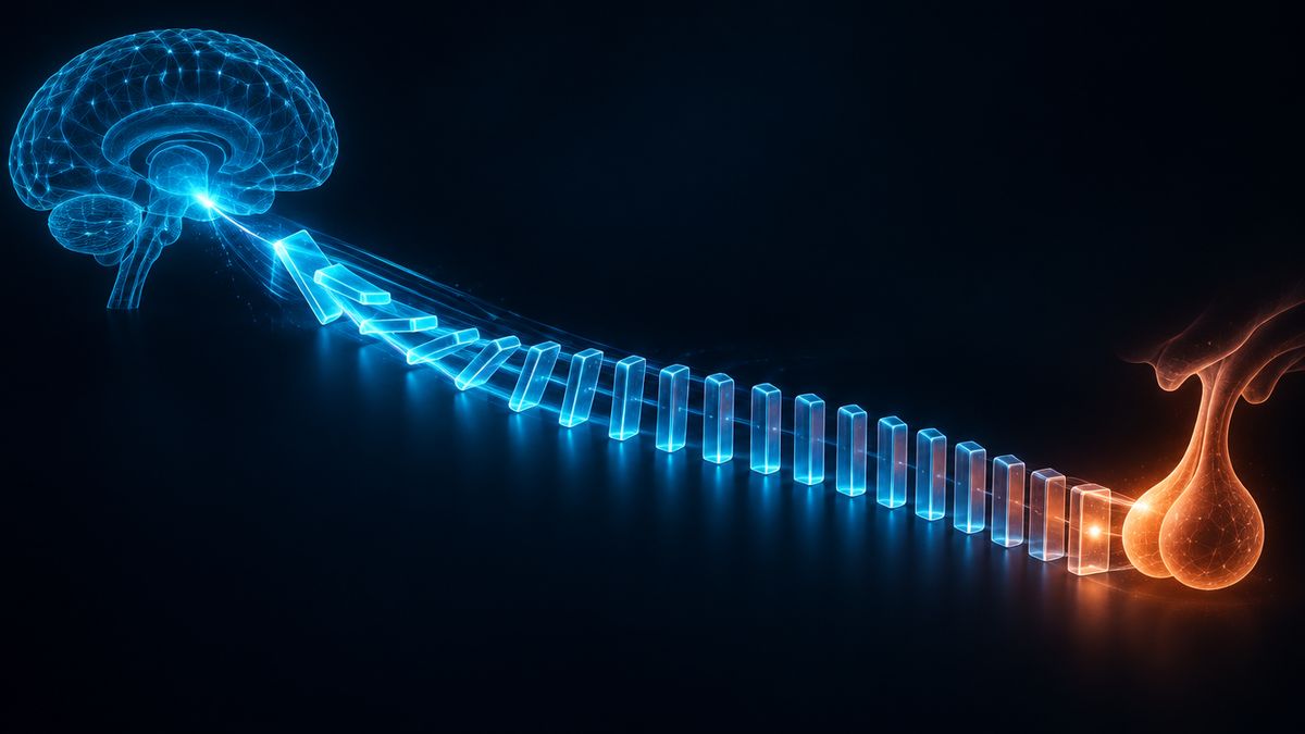 A row of glowing dominoes falling one after another, from a bright spot in a brain shape down toward a gland